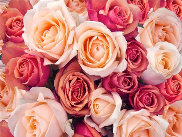 Flower Design 099 Wallpaper by MywallpaperShop