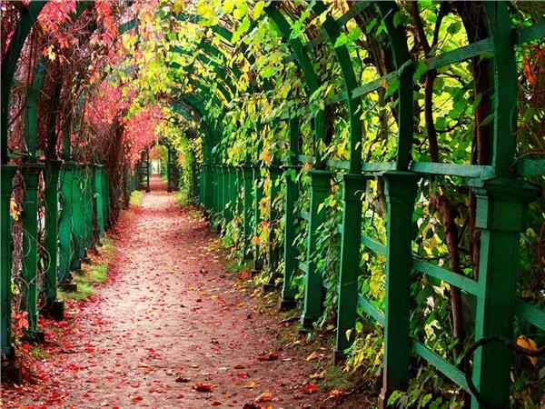 Nature Scenery 040 Wallpaper by MywallpaperSho