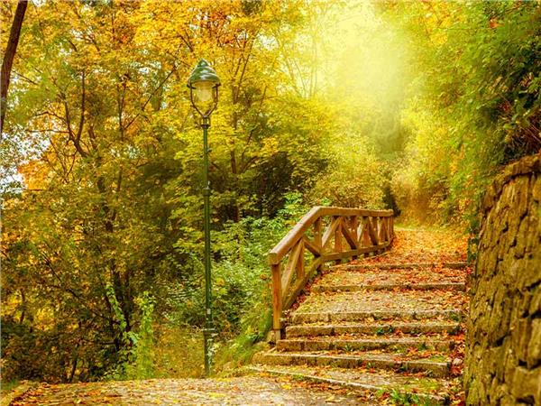 Nature Scenery 041 Wallpaper by MywallpaperSho