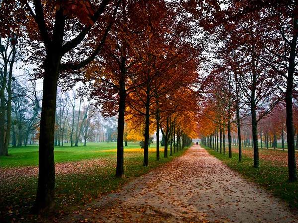 Nature Scenery 0042 Wallpaper by MywallpaperSho