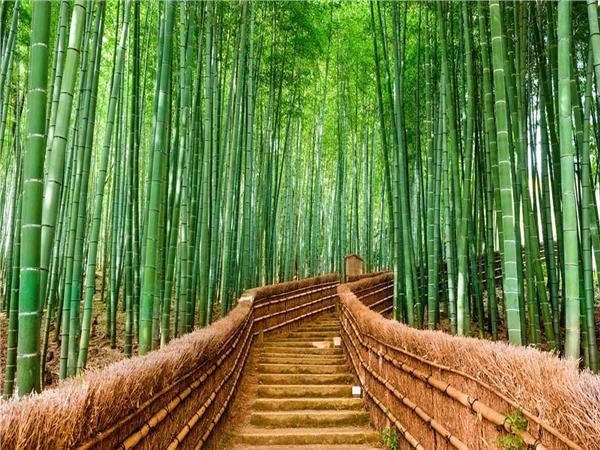 Nature Scenery 043 Wallpaper by MywallpaperSho