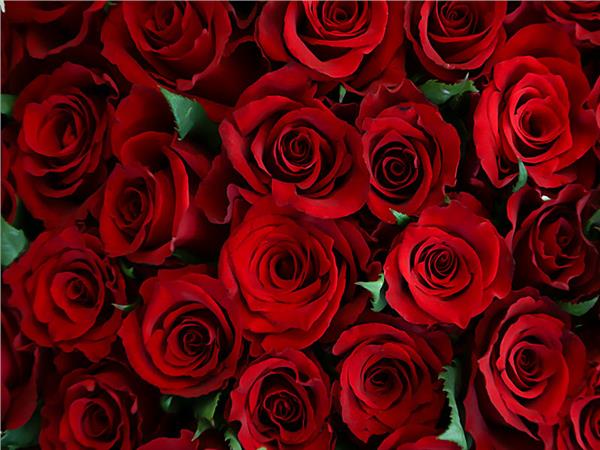 Flower Design 043 Wallpaper by MywallpaperSho