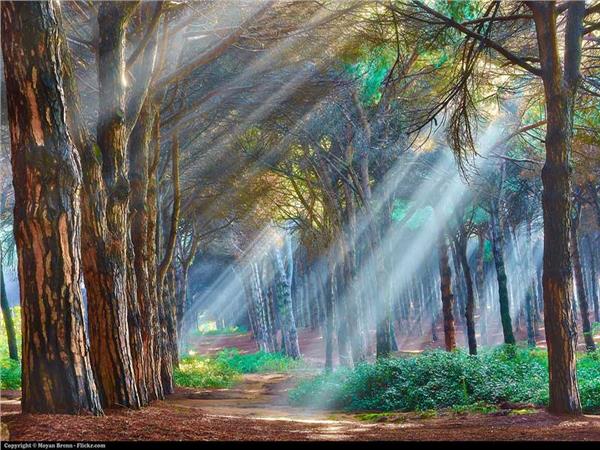 Nature Scenery 044 Wallpaper by MywallpaperSho