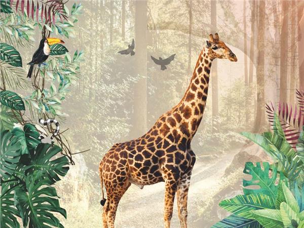 Tropical Doga 3D Wallpaper by MywallpaperShop