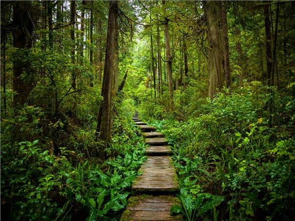 Nature Scenery 045 Wallpaper by MywallpaperSho