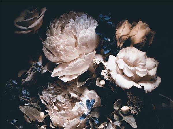Flower Design 100 Wallpaper by MywallpaperShop