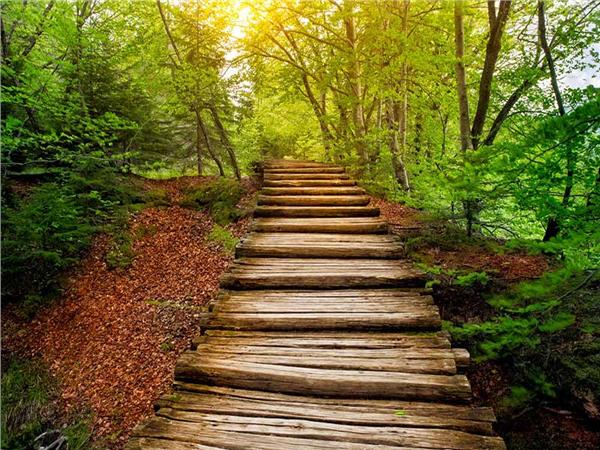 Nature Scenery 047 Wallpaper by MywallpaperSho