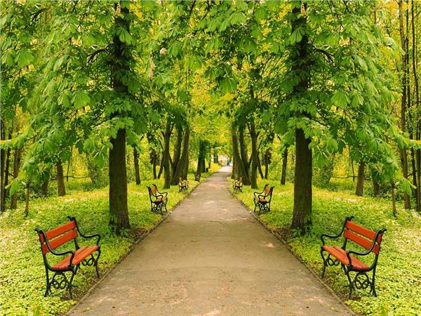 Nature Scenery 048 Wallpaper by MywallpaperSho