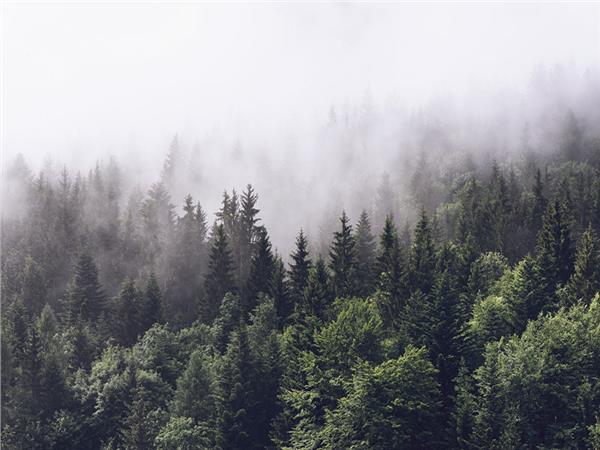 Nature Scenery 049 Wallpaper by MywallpaperSho