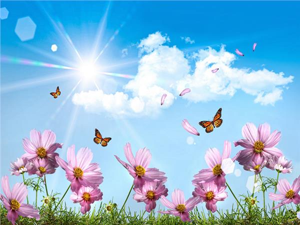 Flower Design 049 Wallpaper by MywallpaperSho