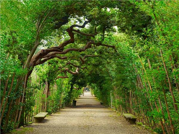Nature Scenery 050 Wallpaper by MywallpaperSho