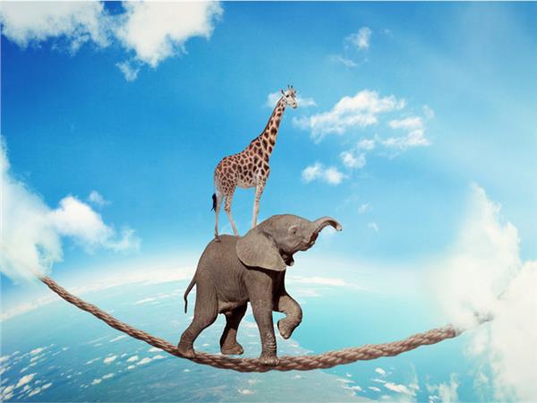 Elephant And Giraffe Scene 052 Wallpaper by MywallpaperSho