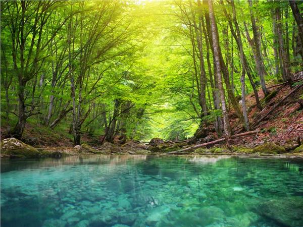 Waterfall Scenery Wallpaper by MywallpaperSho