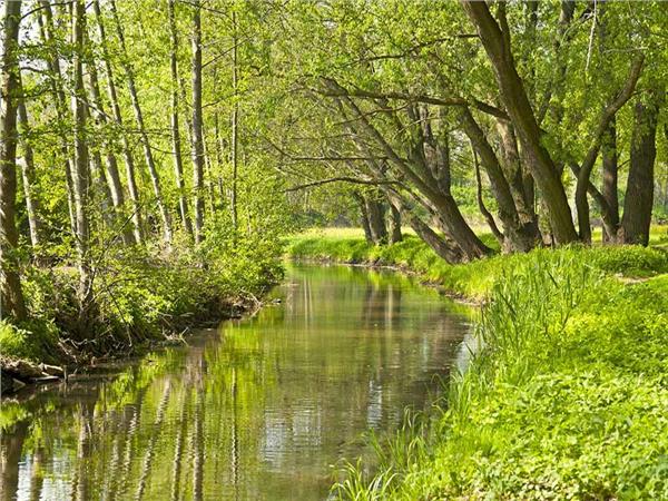 Nature Scenery 054 Wallpaper by MywallpaperSho