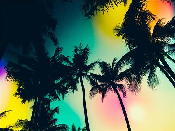 Flower Design 054 Wallpaper by MywallpaperSho