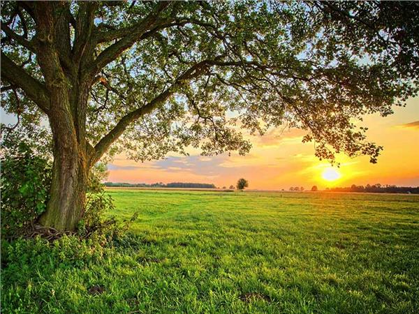 Nature Scenery 055 Wallpaper by MywallpaperSho