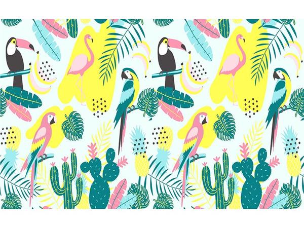 Parrot Kids Room Wallpaper by MywallpaperShop