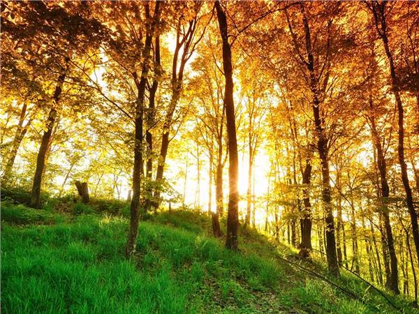 Nature Scenery 058 Wallpaper by MywallpaperSho