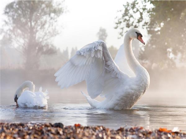 Kugu Scene 058 Wallpaper by MywallpaperSho