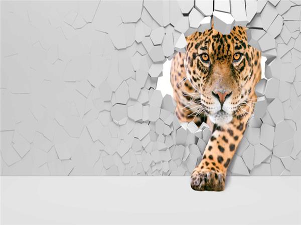 Design 060 3D Wallpaper by MywallpaperShop