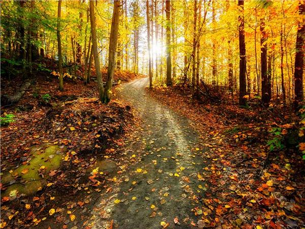 Nature Scenery 062 Wallpaper by MywallpaperSho
