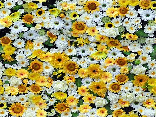 Flower Design 062 Wallpaper by MywallpaperSho