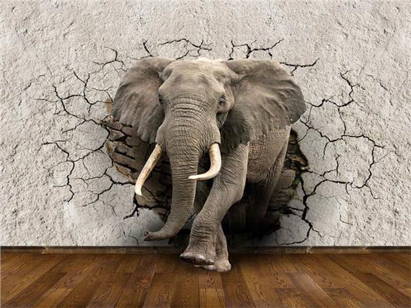 Design 071 3D Wallpaper by MywallpaperShop