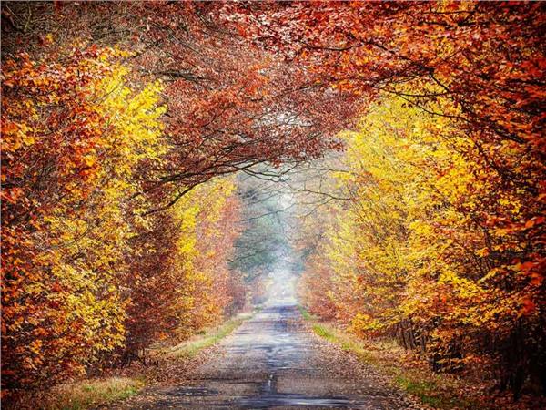 Waterfall Scenery Wallpaper by MywallpaperSho