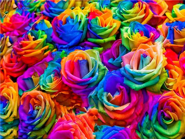 Flower Design 073 Wallpaper by MywallpaperSho