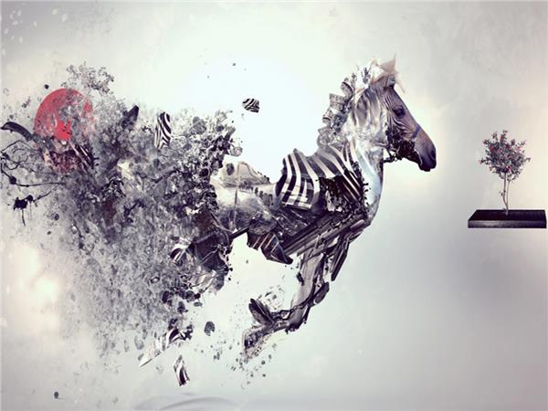 Zebra Scene 074 Wallpaper by MywallpaperSho