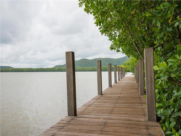 Waterfall Scenery Wallpaper by MywallpaperSho