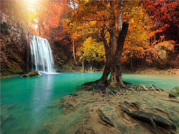 Waterfall Scenery Wallpaper by MywallpaperSho