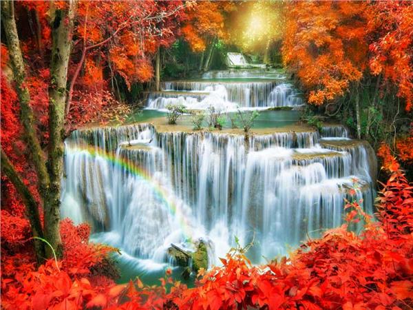 Waterfall Scenery Wallpaper by MywallpaperSho
