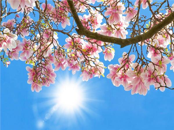 Flower Design 084 Wallpaper by MywallpaperSho