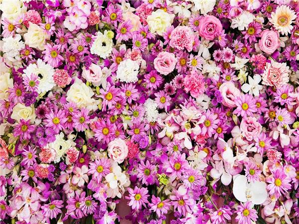 Flower Design 086 Wallpaper by MywallpaperSho