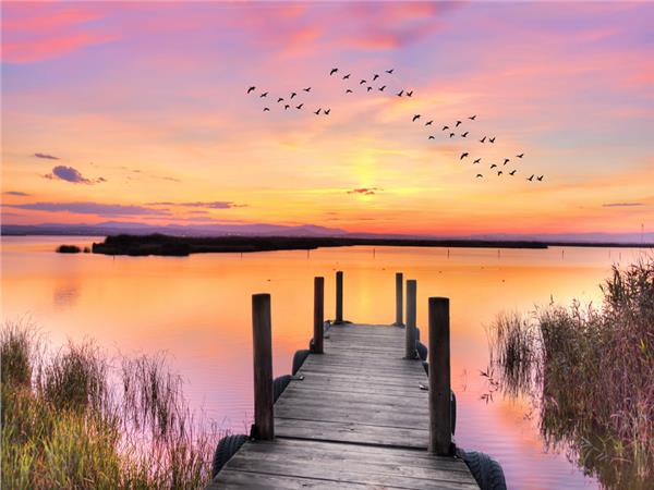 Nature Scenery Wallpaper by MywallpaperSho