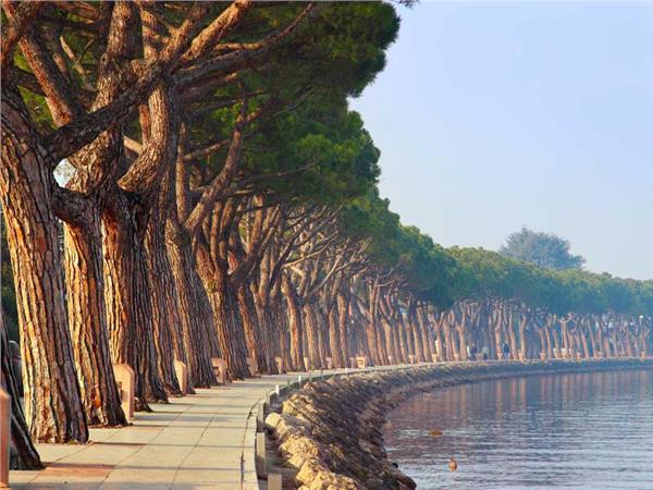 Nature Scenery Wallpaper by MywallpaperSho