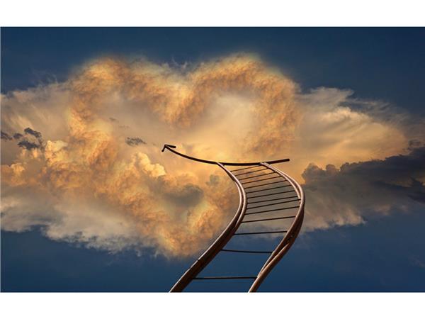 Design 087 3D Wallpaper by MywallpaperShop