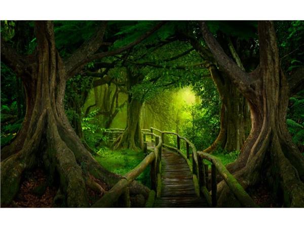 Wooden Yol 3D Wallpaper by MywallpaperShop