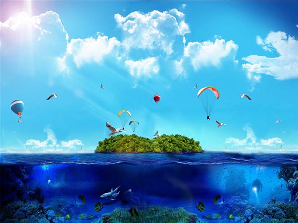 Animals World Yunus and Martilar Kids Room Wallpaper by MywallpaperShop