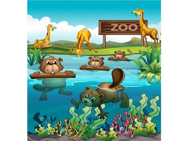 Animals World Zurafalar Kids Room Wallpaper by MywallpaperShop