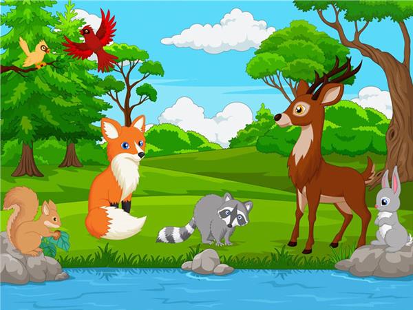 Animals World Tilki and Bunny Kids Room Wallpaper by MywallpaperShop