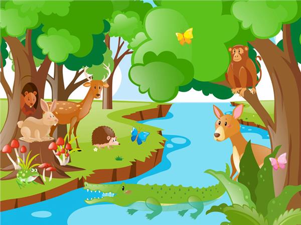 Animals World crocodile Kurbaga Kids Room Wallpaper by MywallpaperShop