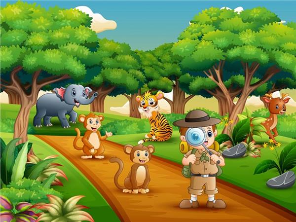 Animals World Maymun Kids Room Wallpaper by MywallpaperShop
