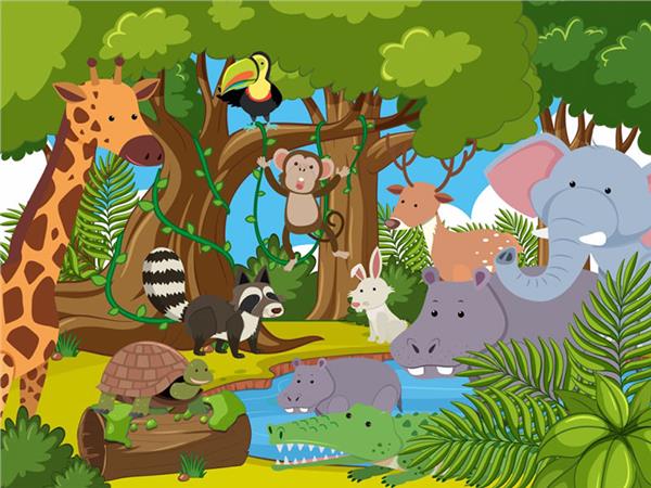 Animals World Su Aygiri and Fil Kids Room Wallpaper by MywallpaperShop