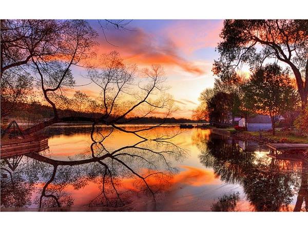 Forest and Gol Scenery Wallpaper by MywallpaperShop