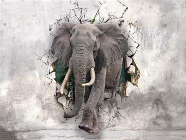 Duvardan Cikan Fil 3D Kids Room Wallpaper by MywallpaperShop