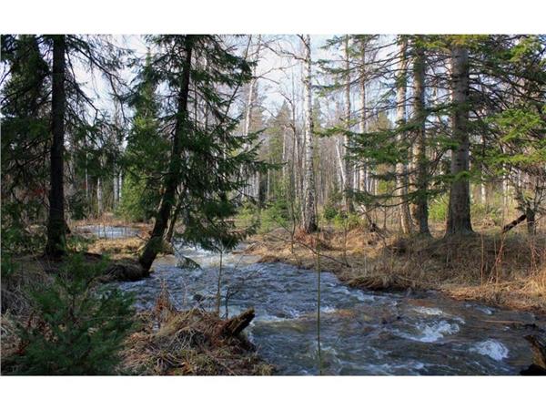 Treelarin Arasindan Akan Nehir 3D Wallpaper by MywallpaperShop