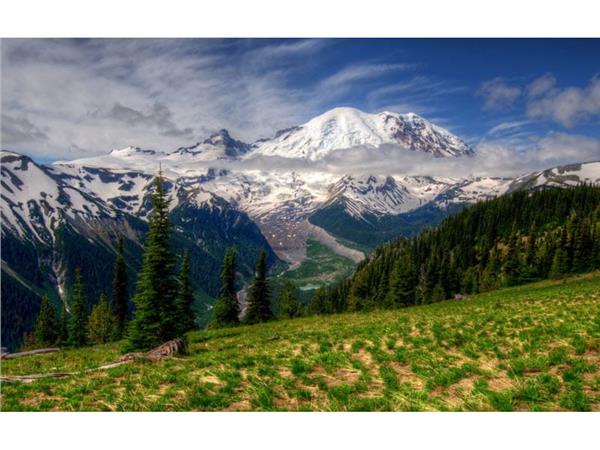 Dag and Forest Scenery 3D Wallpaper by MywallpaperShop