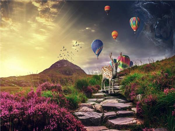 Deer Scene 125 Wallpaper by MywallpaperSho